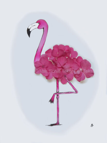Bestelnr. 0005: Ansichtkaart flamingo