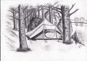 camping tent kameren camp tree bos forest bomen trees