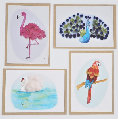 Set van 4 vogelkaarten flamingo pauw zwaan papegaai peacock swan parrot vogels birds flower petals bloemblaadjes