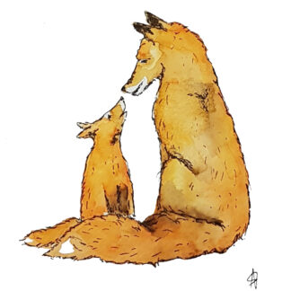 fox foxes vossen bos forest moedervos met jong rekel moeder