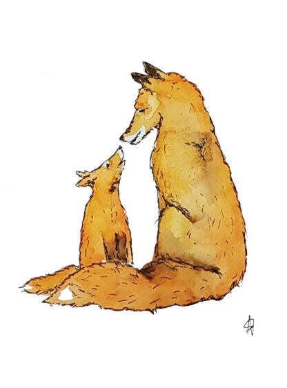 fox foxes vossen bos forest moedervos met jong rekel moeder