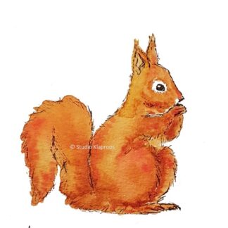 eekhoorn squirrel kaart postcard