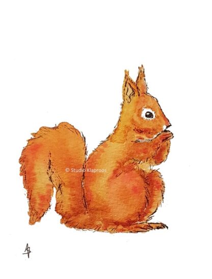 eekhoorn squirrel kaart postcard