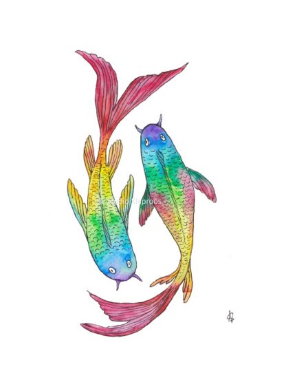 Koi karpers carps regenboog rainbos fish vissen