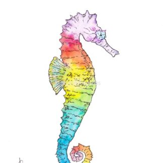 zeepaardje seahorse regenboog rainbow postcard kaart