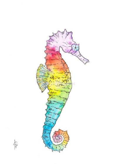 zeepaardje seahorse regenboog rainbow postcard kaart
