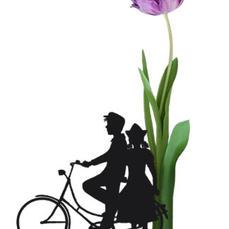 fiets tulip tulp dutch farmercouple bicycle postcard ansichtkaart typical dutch hollands