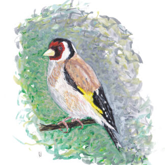 bird vogel distelvink puttertje ansichtkaart kaart postcard goldfinch