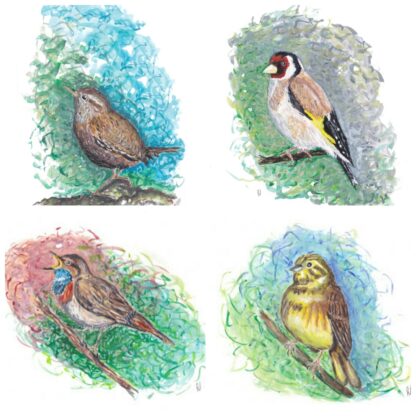 birds vogels winterkoninkje ansichtkaart kaart postcard goldfinch puttertje distelvink blauwborst geelgors