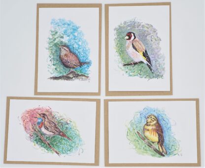 birds vogels winterkoninkje ansichtkaart kaart postcard goldfinch puttertje distelvink blauwborst geelgors