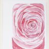 roos rose love liefde ansichtkaart postcard