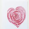 roos rose liefde love ansichtkaart postcard
