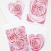 roos rose liefde love ansichtkaart postcard