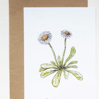 ansichtkaart madelief daisy lief sweet postcard