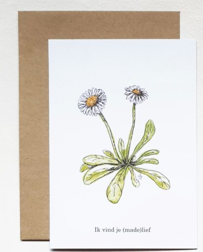 ansichtkaart madelief daisy lief sweet postcard