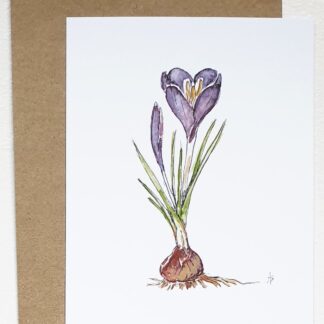 krokus crocus ansichtkaart postcard kiss