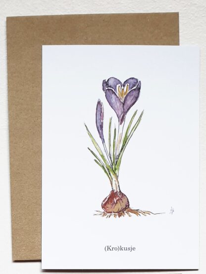 krokus crocus ansichtkaart postcard kiss