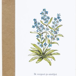 forget-me-not vergeetmenietje ansichtkaart postcard