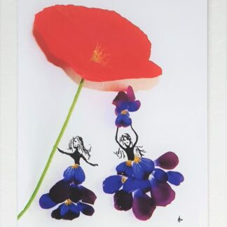 flower bloemen meisjes girls poppy klaproos viola