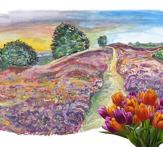 typical dutch tulp holland tulip heide heather painting aquarel