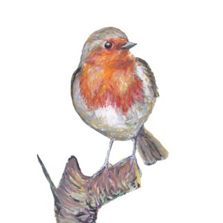 birds vogel robin roodborstje ansichtkaart postcard