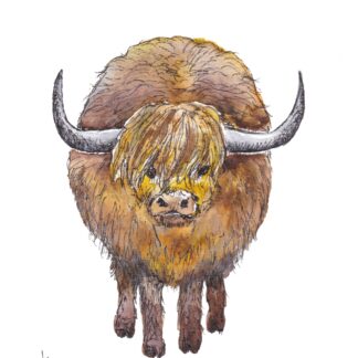 ansichtkaart postcard forest bosdieren schotse hooglander highlander cow scottish