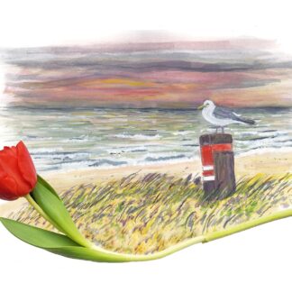 typical dutch zee sea shore kust seagull zeemeeuw toeristisch tourist toerist ansichtkaart tulpen tulip holland postcard