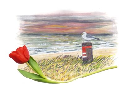 typical dutch zee sea shore kust seagull zeemeeuw toeristisch tourist toerist ansichtkaart tulpen tulip holland postcard
