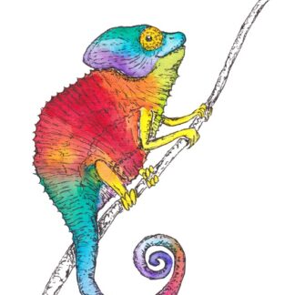 rainbow regenboog kameleon colourful postcard ansichtkaart