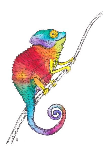 rainbow regenboog kameleon colourful postcard ansichtkaart