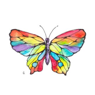 vinder butterfly rainbow regenboog postcard ansichtkaart