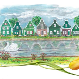 typical dutch houses zaanse schans typisch hollands postcard ansichtkaart tulp tulip