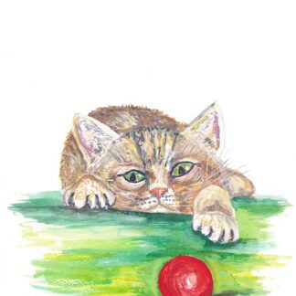 poes cat cats kat postcard card ansichtkaart greetingcard kaartje