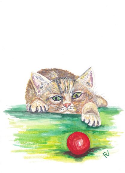 poes cat cats kat postcard card ansichtkaart greetingcard kaartje