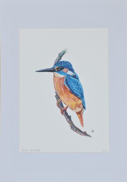ijsvogel kingfisher artprint kunst aquarel watercolor bird art