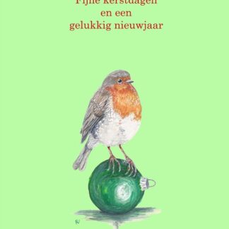 greetingcard kerstkaart kerst kerstmis xmas christmas bird robin roodborstje vogel