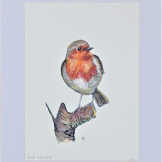 artprint kunst aquarel watercolor bird art roodborstje robin
