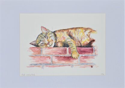 artprint kunst aquarel watercolor bird art cat cats kat poes chill