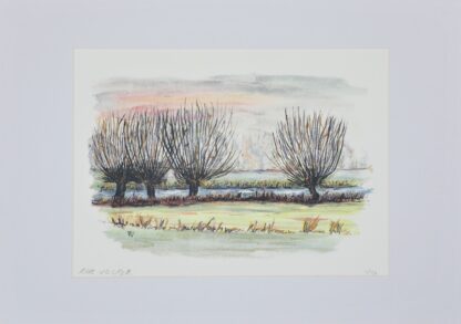 artprint kunst aquarel watercolor art willow willow wilgen knotwilg knotwilgen knotted landscape river rivierenlandschap