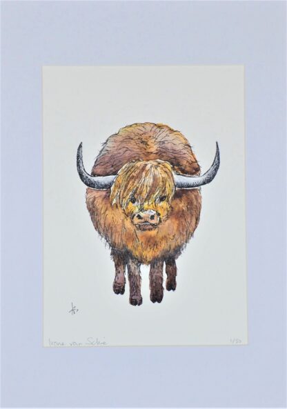 artprint kunst aquarel watercolor art schotse hooglander koe rund os scottish highlander cow horns