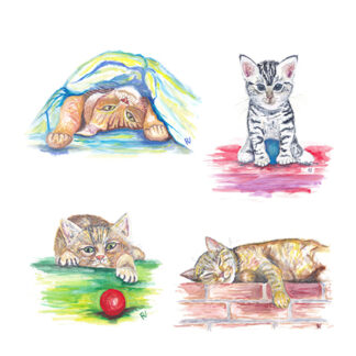 cats catlover katten poezen poesjes kittys postcard ansichtkaart wenskaart