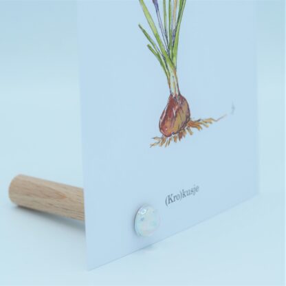 ansichtkaart kaartpin kaartpins kaarthouder kaartenstandaard high5wood magneet mirror spiegel krokus krokusje crocus