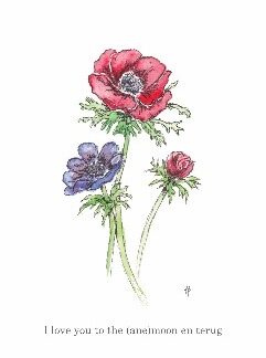 ansichtkaart postcard flower nice and fun drawing Anemoon anemone
