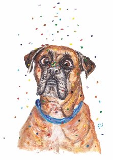ansichtkaart postcard dog boxer confetti cross eyed scheel verjaardag happy birthday party
