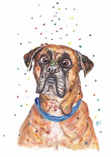 ansichtkaart postcard dog boxer confetti cross eyed scheel verjaardag happy birthday party verjaardagskaart birthdaycard bdaycard postcard celebration