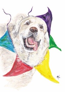 Ansichtkaart postcard dog blije hond golden retriever feest verjaardag vlaggetjes