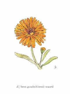 ansichtkaart postcard flower nice and fun drawing goudsbloem marigold