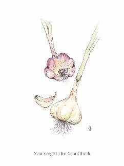 ansichtkaart postcard vegetable nice and fun drawing knoflook garlic