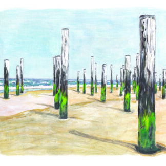 postcard ansichtkaart palendorp petten beach strand zand sand sandy poles beachlife