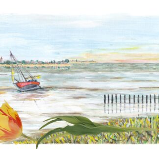 ansichtkaart postcard holland hollands nederland nederlands typisch typical dutch boot op het wad waddenzee laag water boat sea zee Den Oever oosterland tulp tulip water toerist